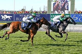 Emily Margaret wins the NZB Sponsored Canterbury Belle Stakes.